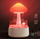 Rain Drop Humidifier+6 Essential Oils